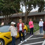 Cambria_0109 (November 04, 2017)